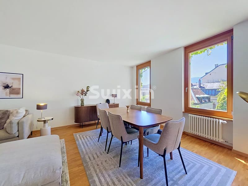 Superbe appartement classique vieille ville Genève (3)