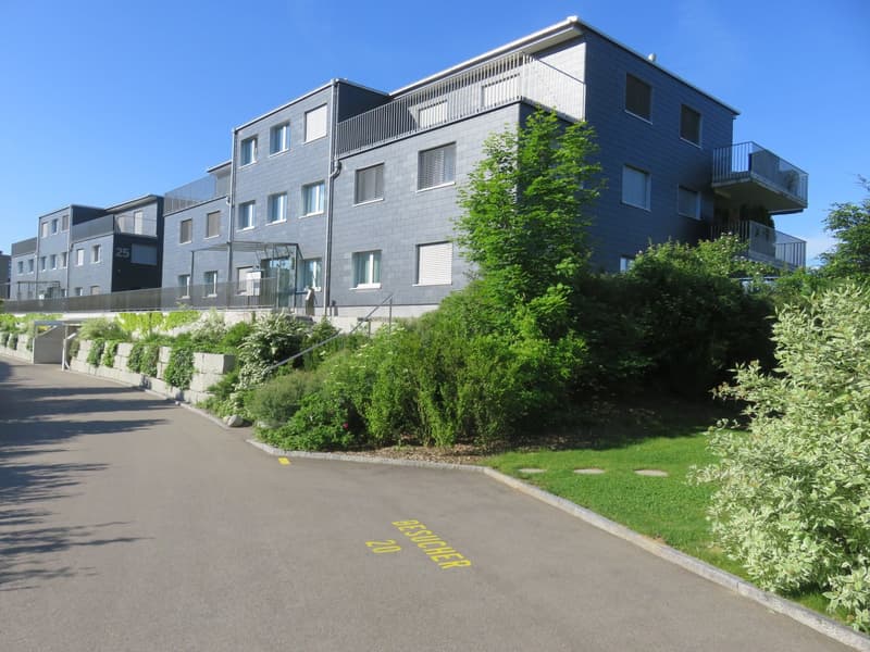 Sonnige Single-Wohnung mit Chic + viel Privatsphäre, zwischen Winterthur und Zürich (9)