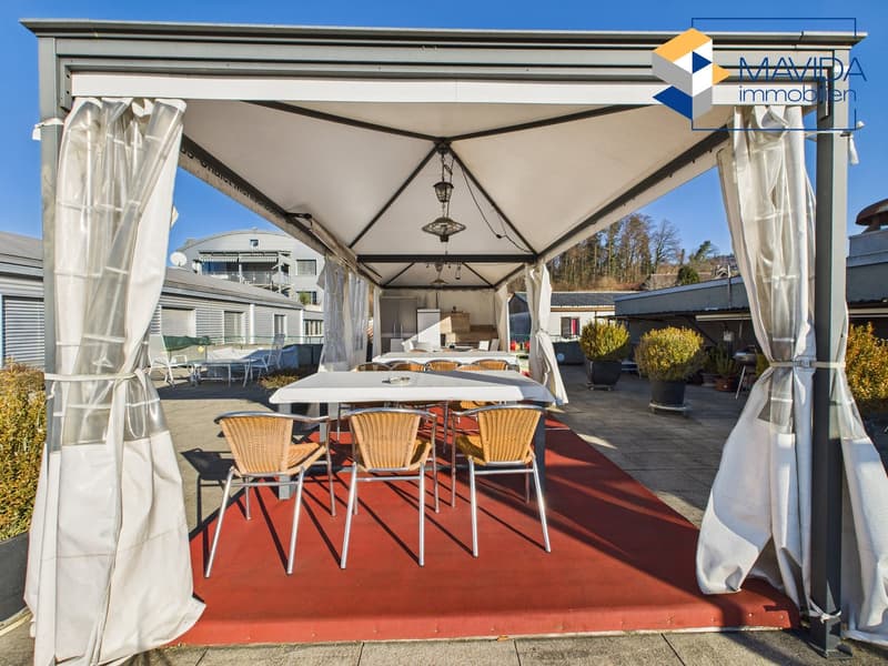 Möbliert mit gemeinschaftlicher Terrasse (7)