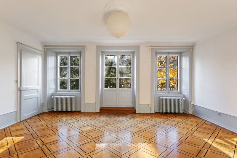 Empty room, wooden parquet floor, white walls, three windows, radiators, central lamp