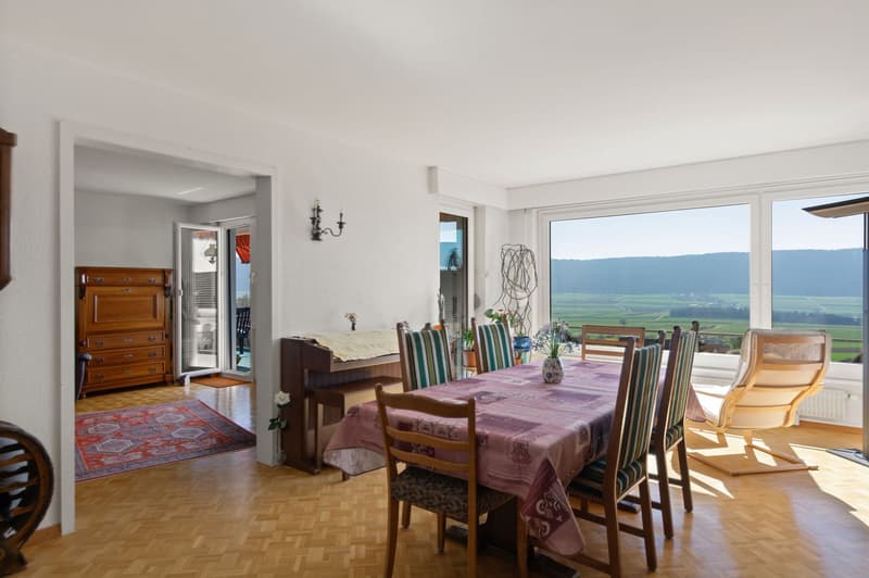 dining room, hardwood floor, table, chairs, rug, plant, panoramic view