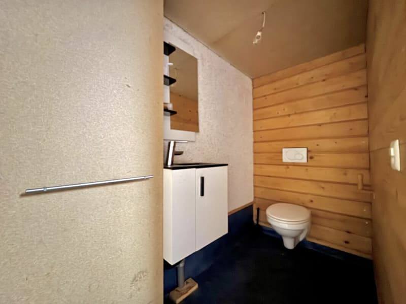 Casa indipendente con riserva di terreno e scuderia per cavalli - Potenziale di sviluppo (14)