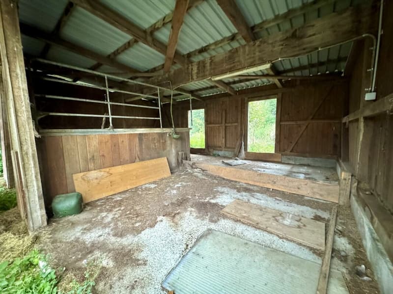 Casa indipendente con riserva di terreno e scuderia per cavalli - Potenziale di sviluppo (13)