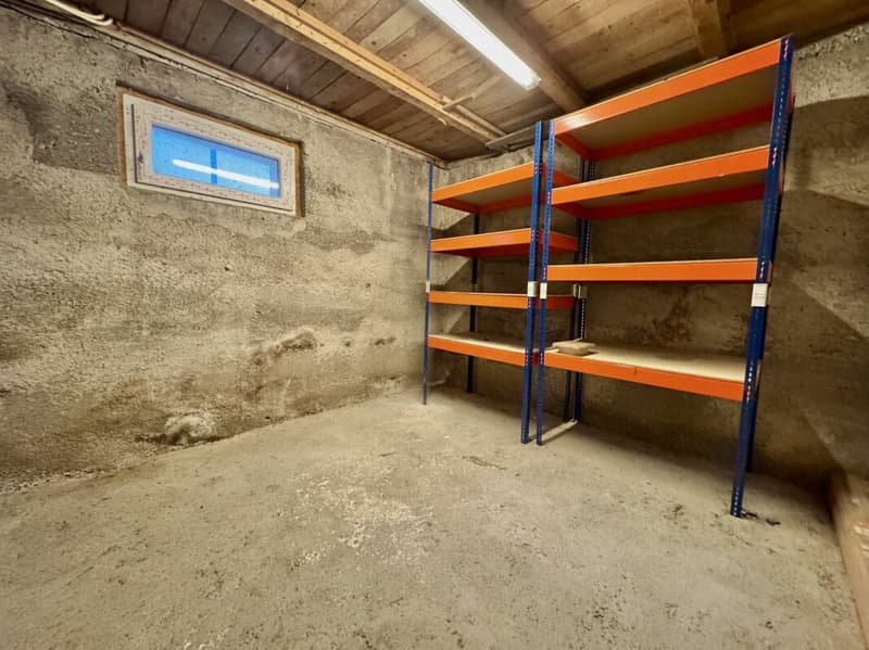 Casa indipendente con riserva di terreno e scuderia per cavalli - Potenziale di sviluppo (16)