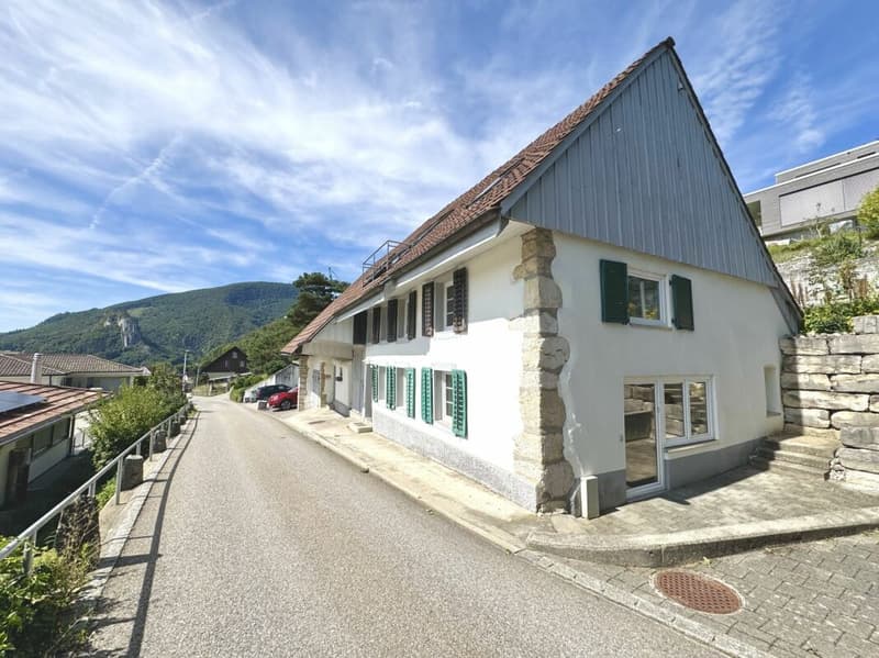 Idillio residenziale esclusivo: Affascinante casa colonica su una pendice sud con grande potenziale a Oensingen (2)