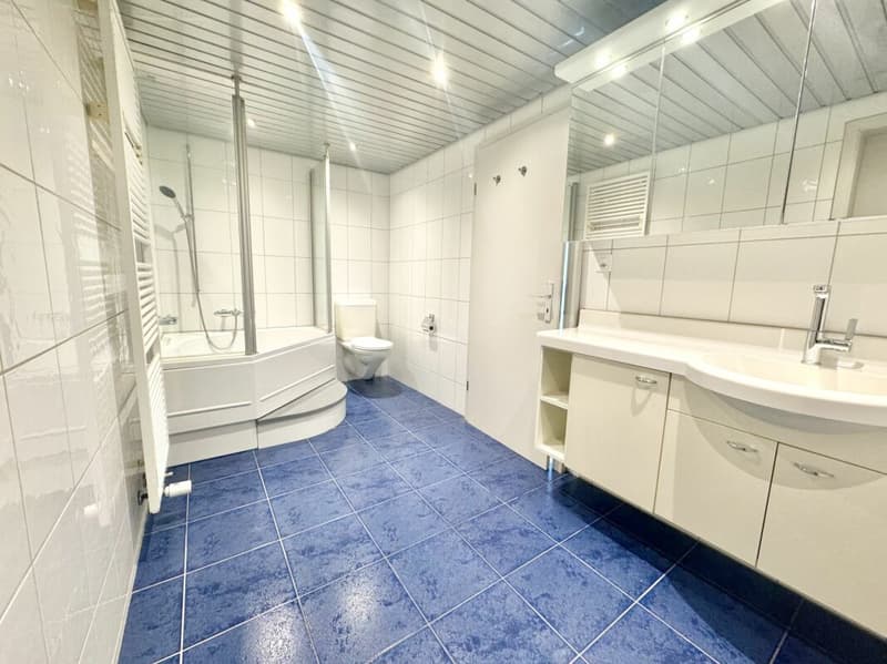 Idillio residenziale esclusivo: Affascinante casa colonica su una pendice sud con grande potenziale a Oensingen (16)