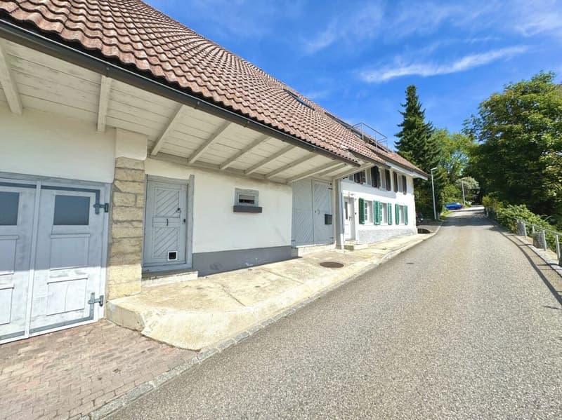 Idillio residenziale esclusivo: Affascinante casa colonica su una pendice sud con grande potenziale a Oensingen (6)