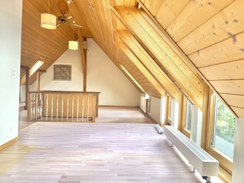 Idillio residenziale esclusivo: Affascinante casa colonica su una pendice sud con grande potenziale a Oensingen (23)