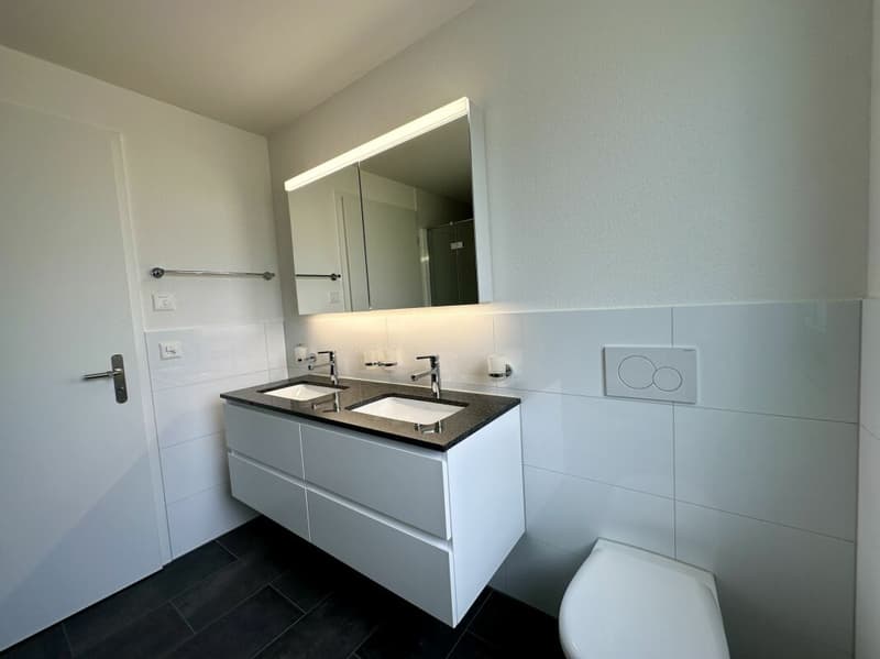 RESERVIERT Neubau 4.5-Zimmer Dachwohnung mit Aussicht ins Grüne A6 (8)