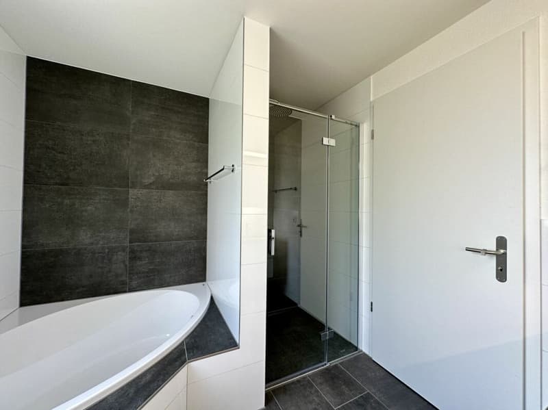 RESERVIERT Neubau 4.5-Zimmer Dachwohnung mit Aussicht ins Grüne A6 (9)