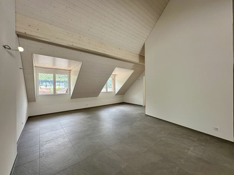 RESERVIERT Neubau 4.5-Zimmer Dachwohnung mit Aussicht ins Grüne A6 (3)