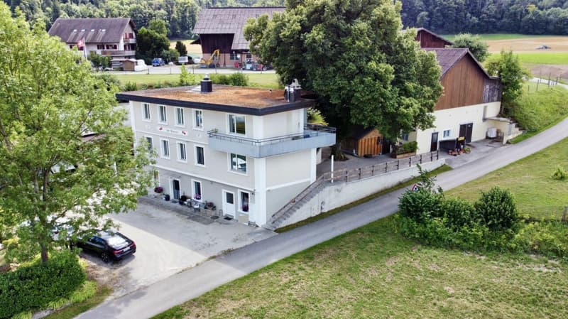 Space for family, animals, and visions! Versatile multi-family house in Weiach (1)