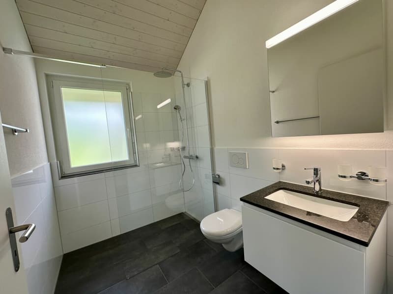Neubau 3.5-Zimmer Maisonettewohnung mit grosser Galerie A5 (6)