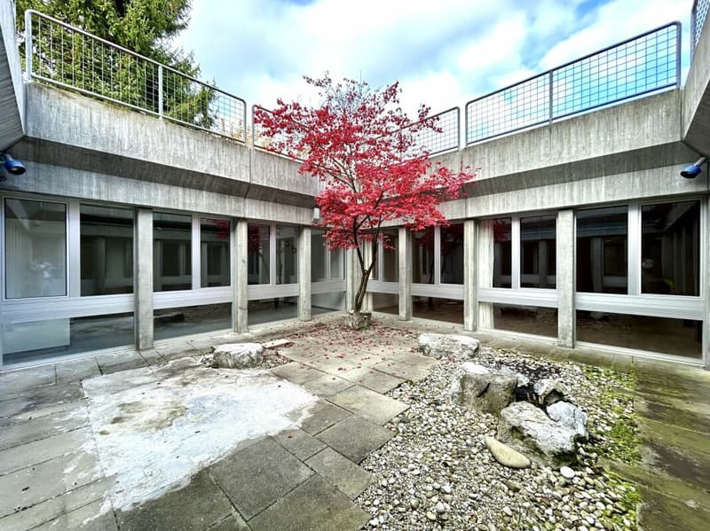 Residential and commercial house on the lower floor with versatile usage potential (17)