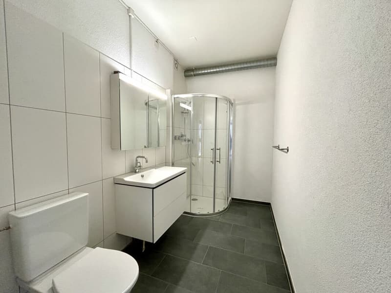 Residential and commercial house on the lower floor with versatile usage potential (11)