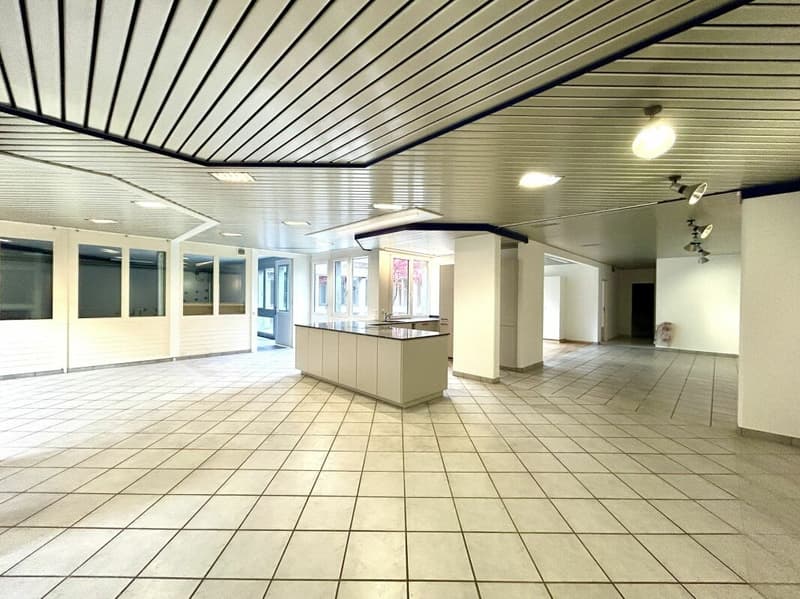 Residential and commercial house on the lower floor with versatile usage potential (2)