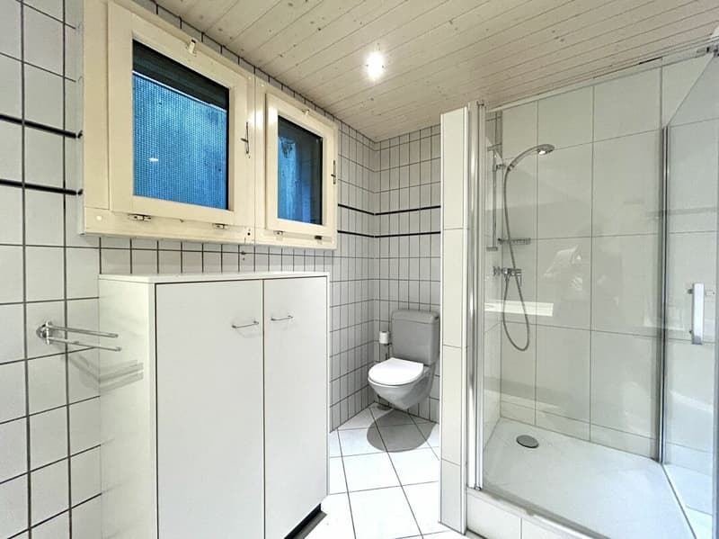 Residential and commercial house on the lower floor with versatile usage potential (13)