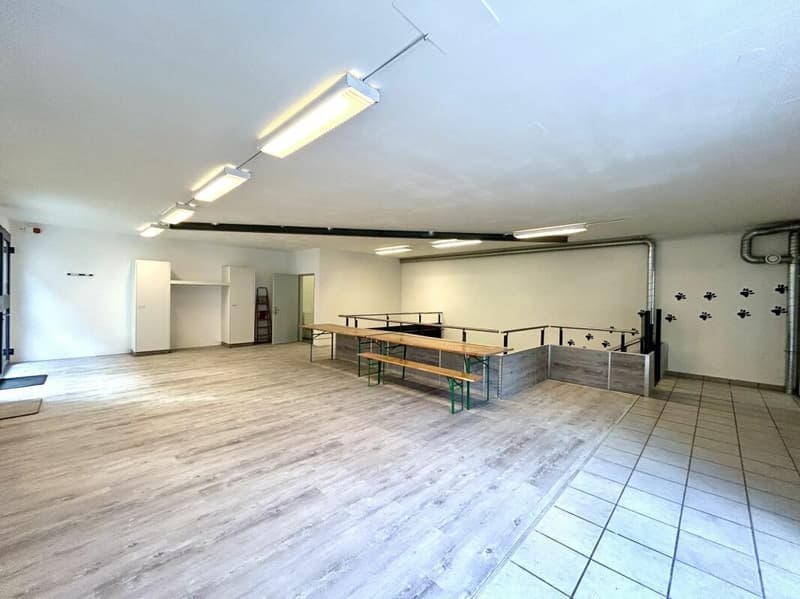 Residential and commercial house on the lower floor with versatile usage potential (10)