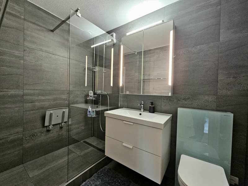 Appartement 4.5 pièces très bien entretenu et ensoleillé avec balcon et vue panoramique (10)