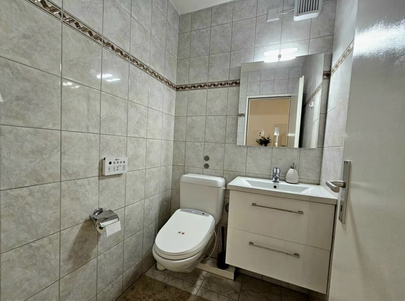 Appartement 4.5 pièces très bien entretenu et ensoleillé avec balcon et vue panoramique (13)