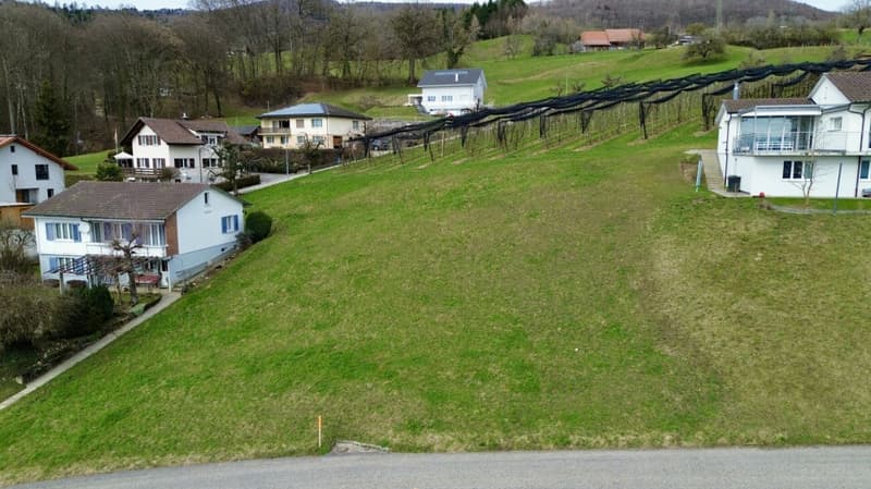 Reserviert - Sonniges Panorama-Grundstück in erhöhter Lage mit Alpenblick (4)