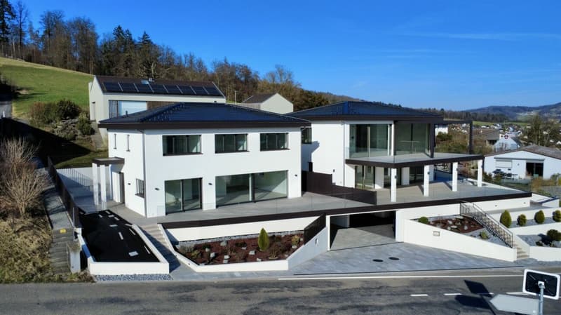 Modernes Wohnen auf höchstem Niveau - Minergie-Villa mit Bergblick in Auenstein (1)