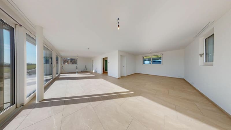 Modernes Wohnen auf höchstem Niveau - Minergie-Villa mit Bergblick (8)