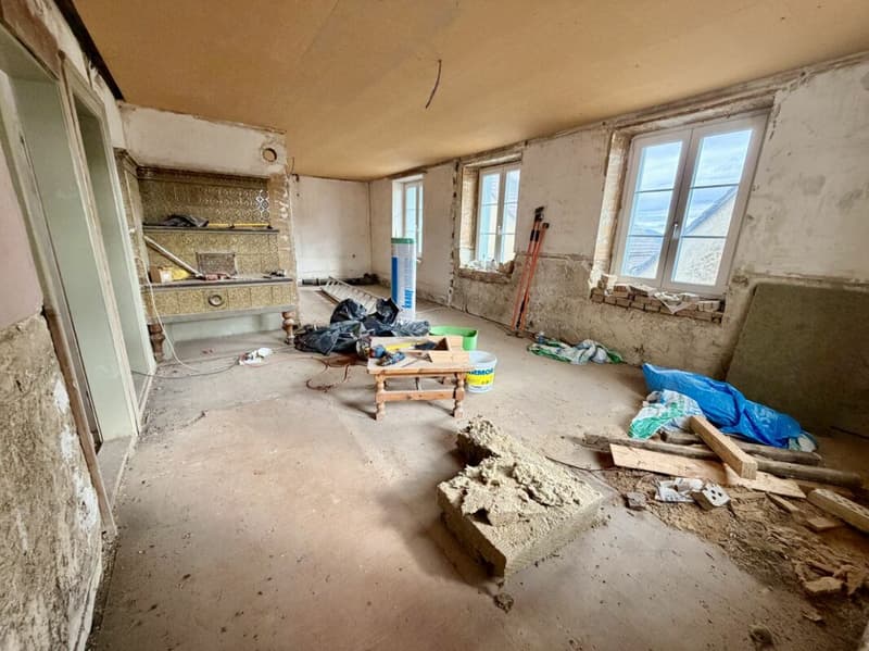 Plus qu'une maison : ferme avec grange et possibilités illimitées (8)
