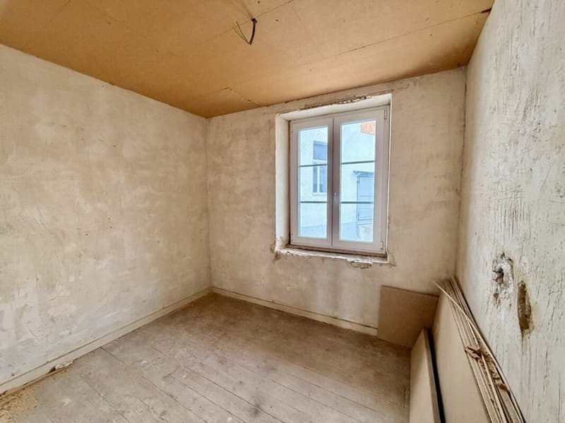 Plus qu'une maison : ferme avec grange et possibilités illimitées (6)