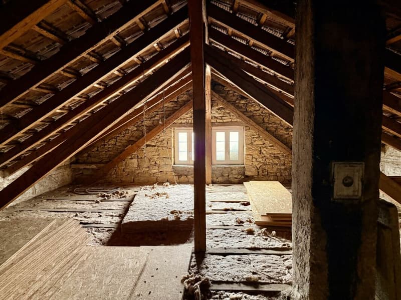 Plus qu'une maison : ferme avec grange et possibilités illimitées (9)
