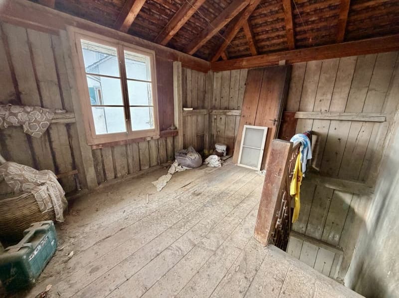 Plus qu'une maison : ferme avec grange et possibilités illimitées (11)