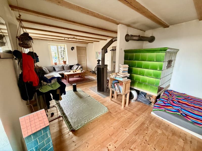 Plus qu'une maison : ferme avec grange et possibilités illimitées (5)
