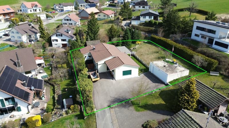 Vivere nel verde con molta libertà (2)