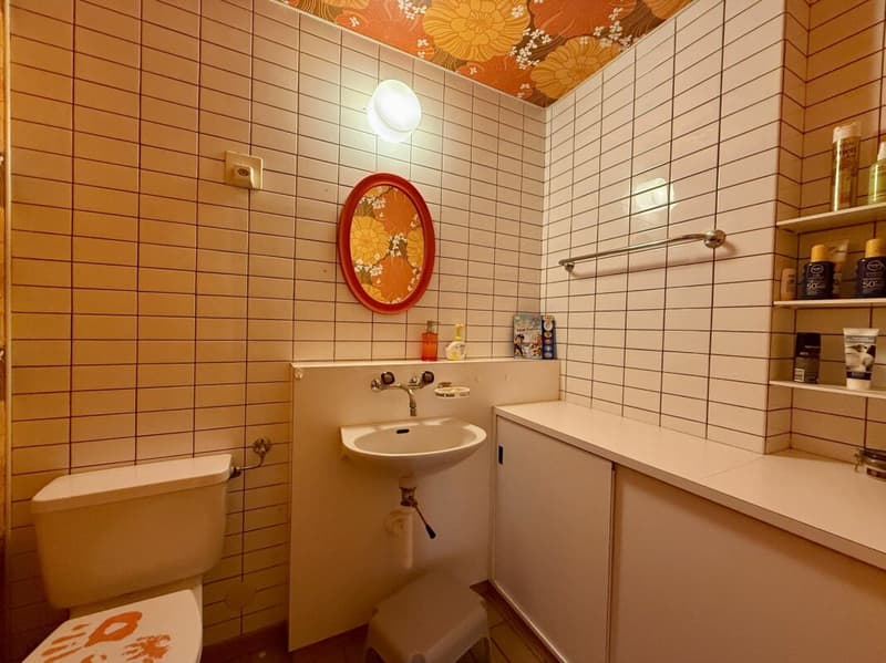 Spacious 5.5-room apartment with beautiful views in a central location in Derendingen (13)