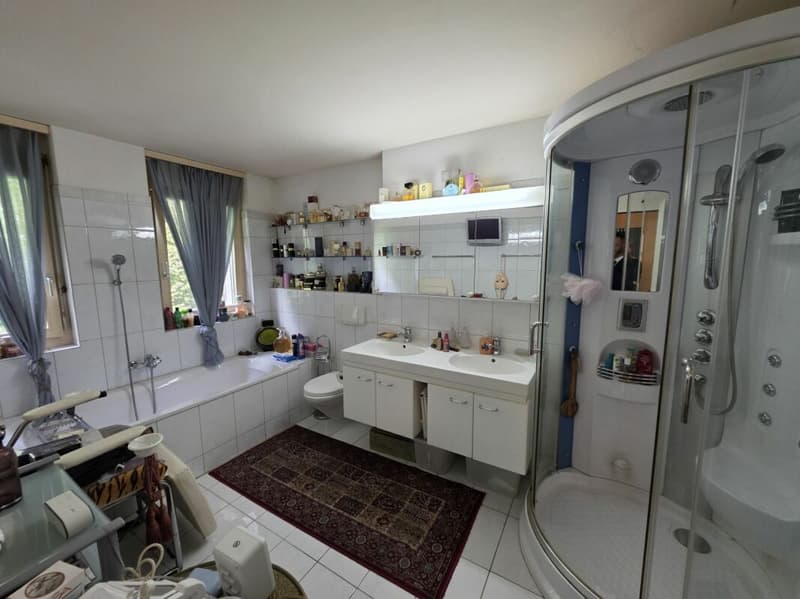 Riservato, idillio familiare con vista panoramica! Casa spaziosa a Ebikon (13)