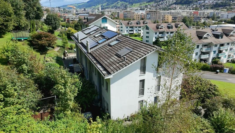 Riservato, idillio familiare con vista panoramica! Casa spaziosa a Ebikon (3)