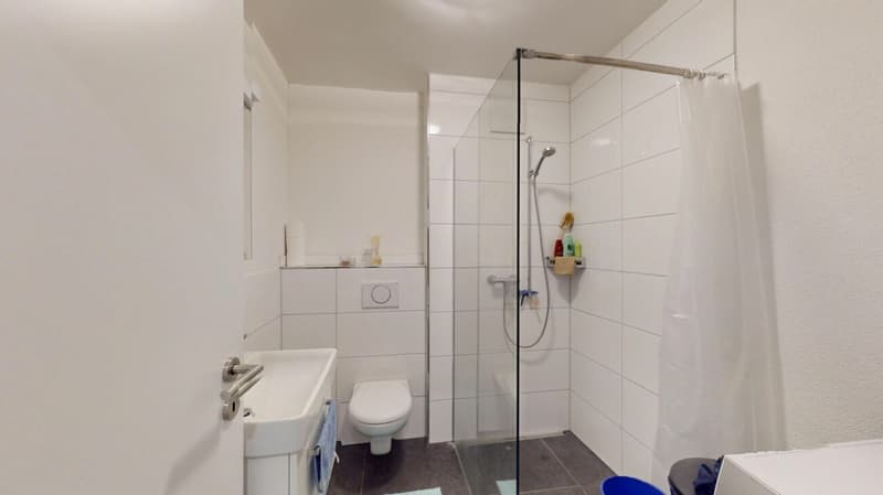 High-quality 4.5-room ground-floor apartment in Oekingen (10)