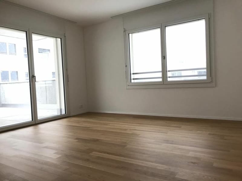Exklusive Attikawohnung mit grosser Terrasse und Weitsicht in Schötz (8)