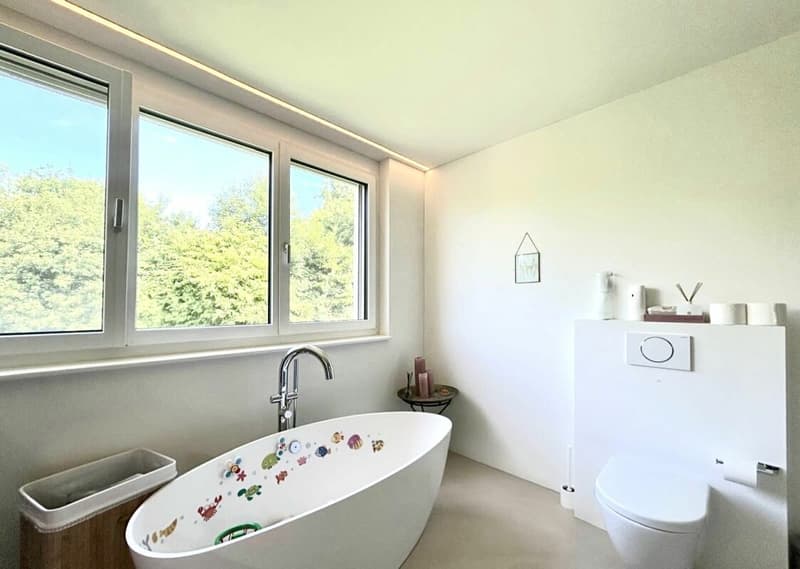 Einzigartige 5.5-Zimmer-Wohnung mit Panoramablick in Hölstein! (11)