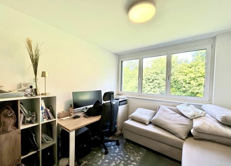 Einzigartige 5.5-Zimmer-Wohnung mit Panoramablick in Hölstein! (6)