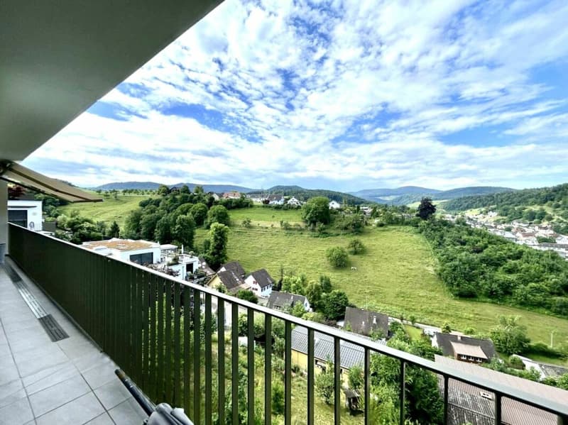 Einzigartige 5.5-Zimmer-Wohnung mit Panoramablick in Hölstein! (15)