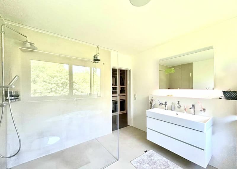 Einzigartige 5.5-Zimmer-Wohnung mit Panoramablick in Hölstein! (10)