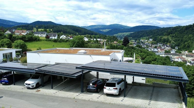 Einzigartige 5.5-Zimmer-Wohnung mit Panoramablick in Hölstein! (16)