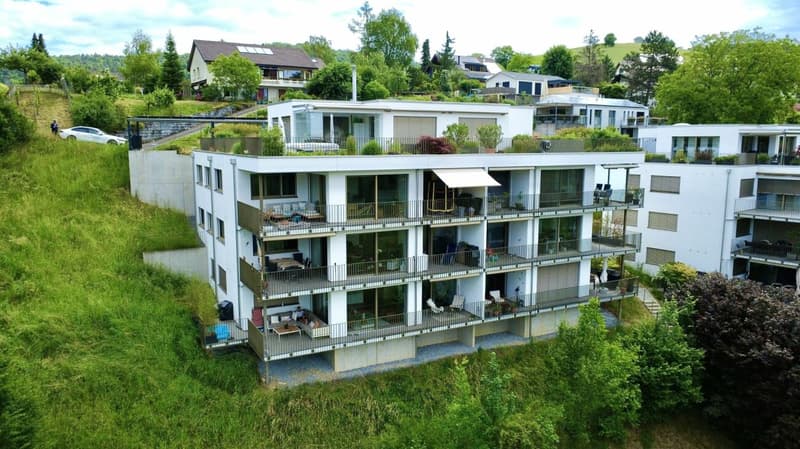 Einzigartige 5.5-Zimmer-Wohnung mit Panoramablick in Hölstein! (17)