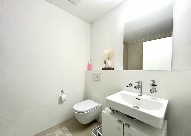 Einzigartige 5.5-Zimmer-Wohnung mit Panoramablick in Hölstein! (12)