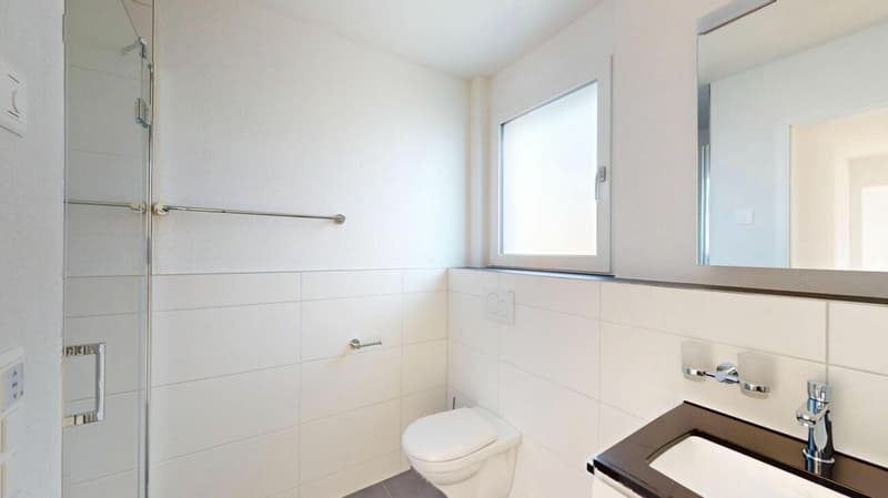 Moderne 4.5-Zimmerwohnung mit 21 m² Terrassenfläche (9)