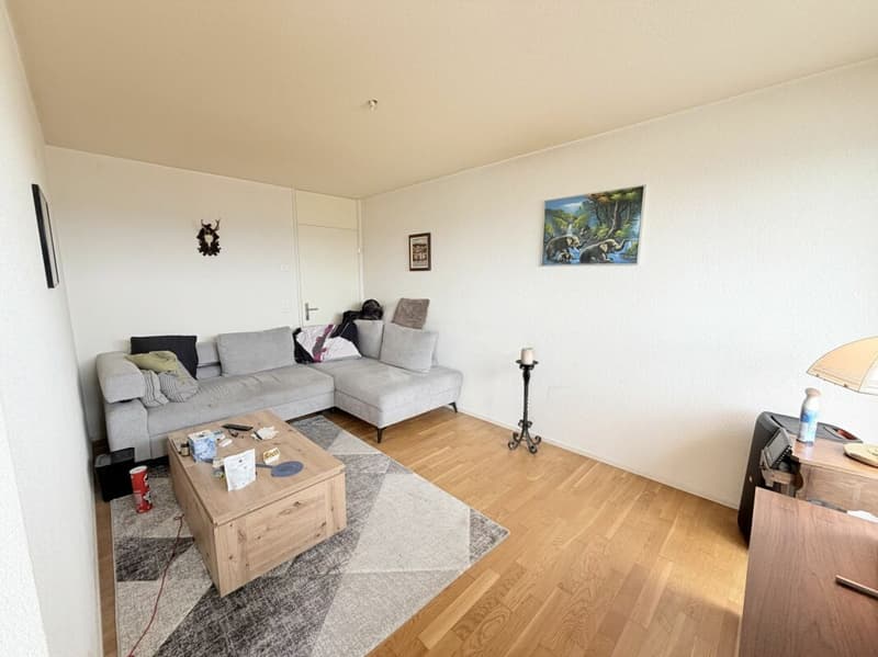 Traumhafte Alpensicht trifft auf Wohnkomfort - 5.5-Zimmerwohnung mit XXL-Terrasse (4)