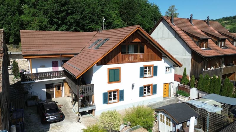 Mehrfamilienhaus mit 4 Wohnungen, umfassend renoviert & attraktive Wohnlage in Seewen (1)