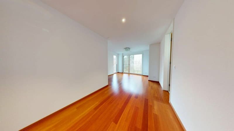 Exklusive 4.5 Zimmerwohnung an privilegierter Lage in Zürich Höngg (5)