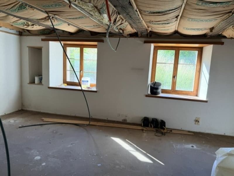 Charmantes Mehrfamilienhaus mit enormem Potenzial und Top-Anbindung! (3)